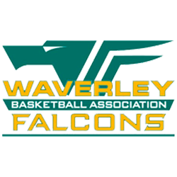 waverley falcons logo 250x250